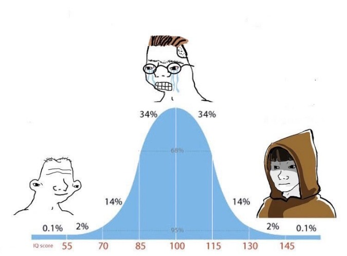 IQ Distribution