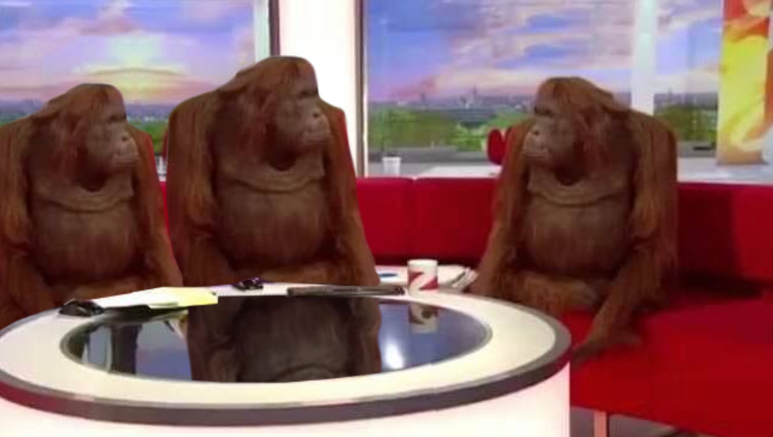 Orangutan News Team